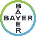 Bayer 2024 